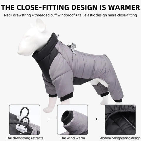 All Weather Dog All-In-One