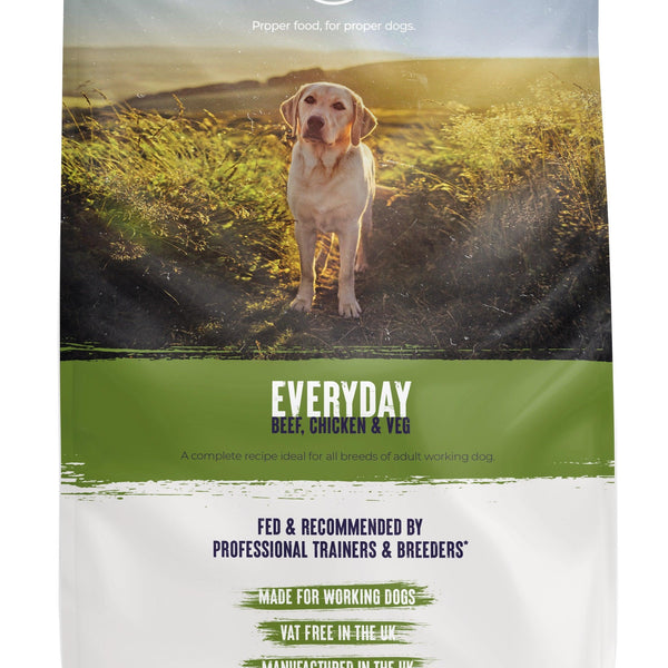 Alpha Adult Everyday Dog