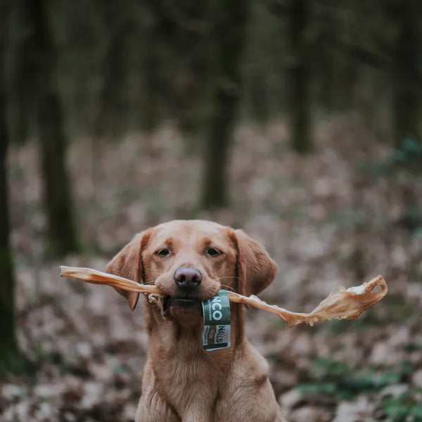 Anco Naturals Giant Goat Stick