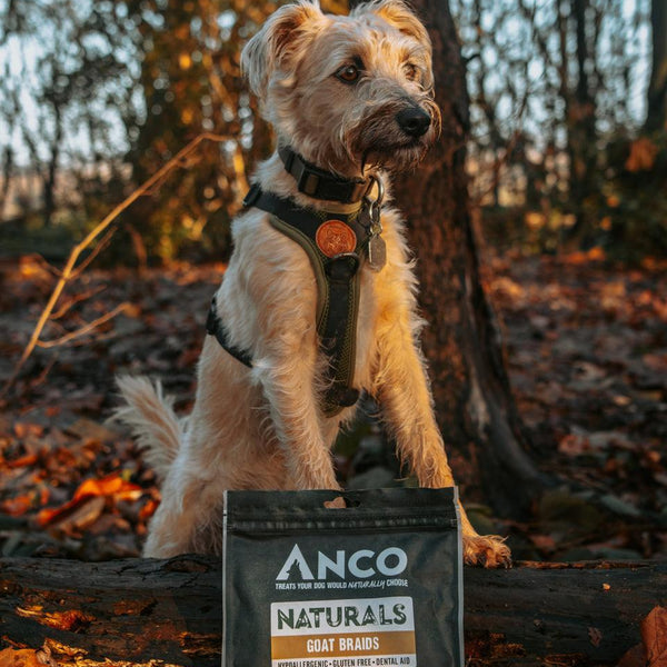 Anco Naturals Goat Braids 100g