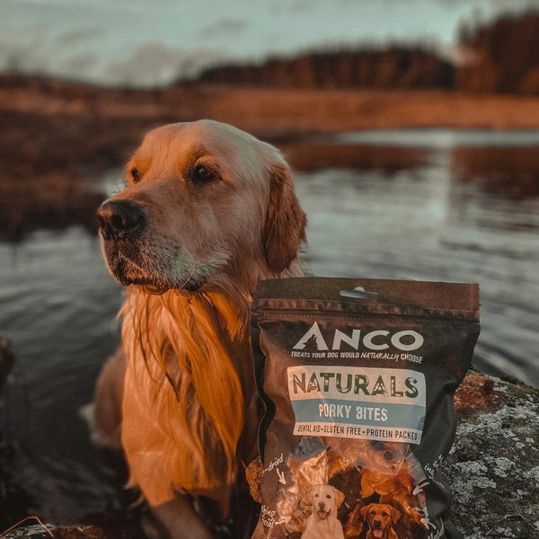 Anco Naturals Porky Bites 250g