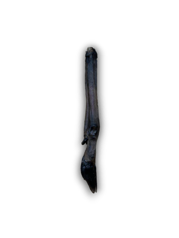 Anco Naturals Roe Deer Leg
