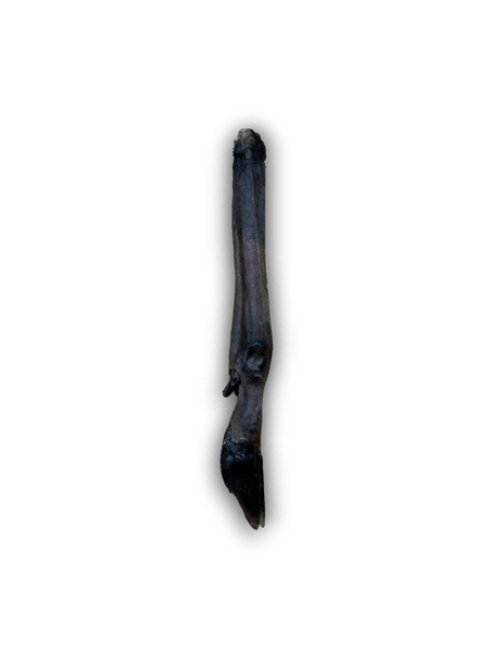 Anco Naturals Roe Deer Leg