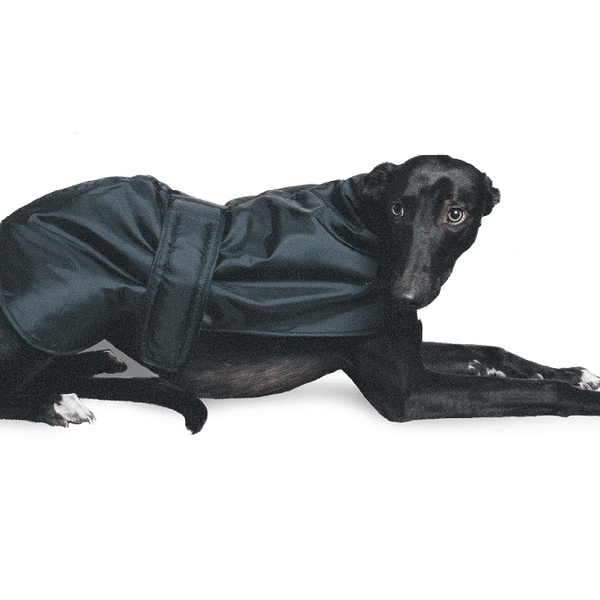 Ancol Greyhound Coat Black