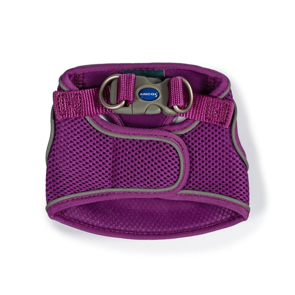 Ancol Viva Step In Harn Prpl 30-36cm