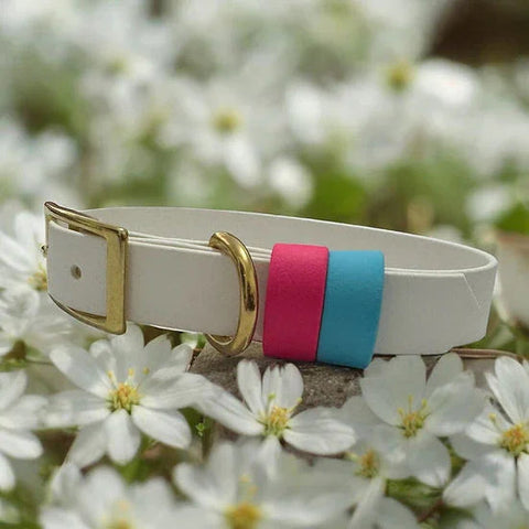 Classic Biothane with double keep - Handmade Classic Biothane Dog Collar