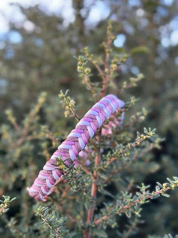 Sugarplum Fairy Braided - Handmade Paracord Dog Collar