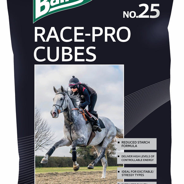 Baileys No. 25 Race-Pro Cubes