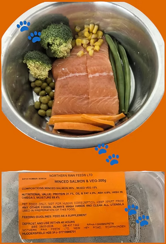 Northern Raw Feeds - Salmon & Veg - 300g