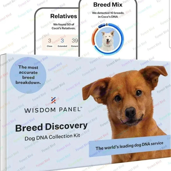 Breed Discovery Dog DNA Kit – Accurate 365+ Breed Identification, MDR1 Health Test, and Ancestry Insights