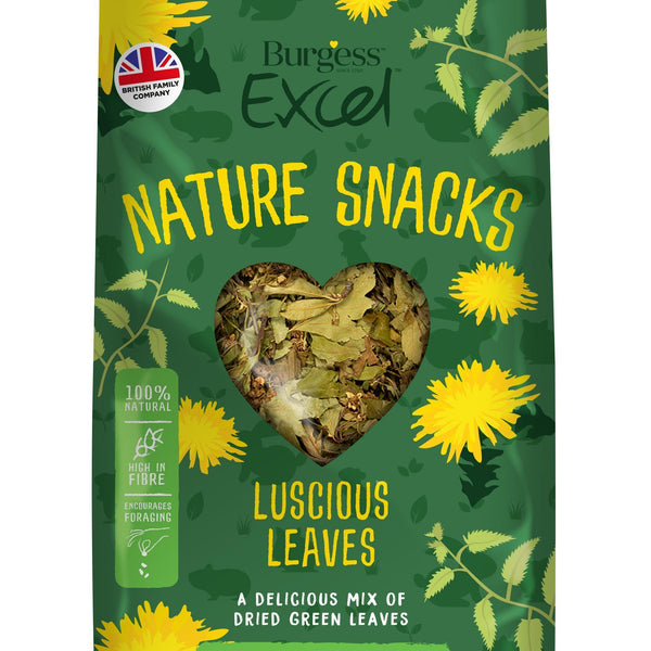 Burgess Excel Nature Snacks Luscious Leaves 60g