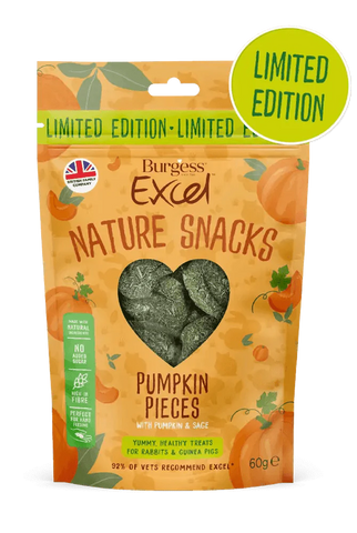 Burgess Excel Pumpkin Pieces with Pumpkin and Sage LIMITED EDITION