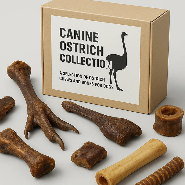 Canine Ostrich Collection