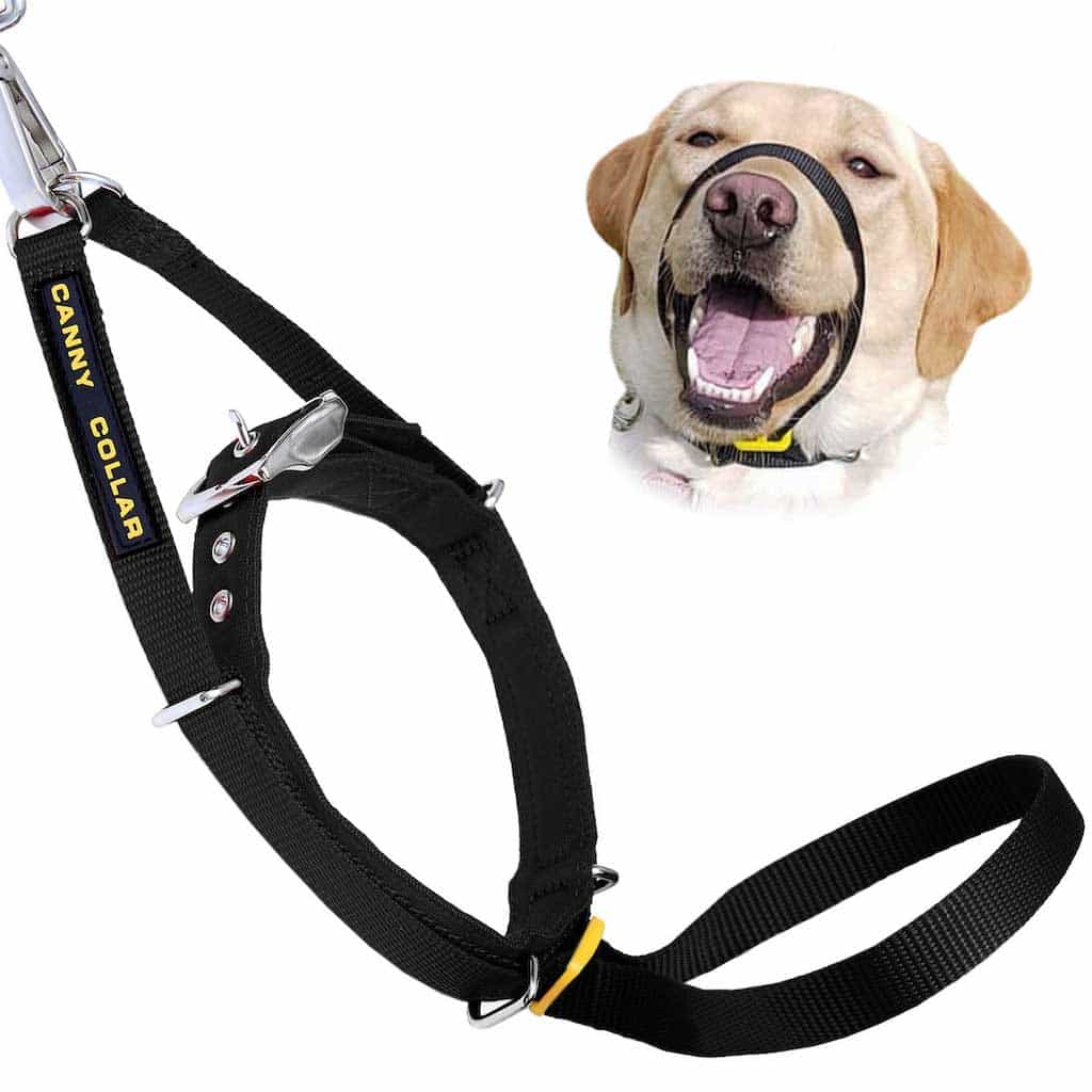 Canny Collar