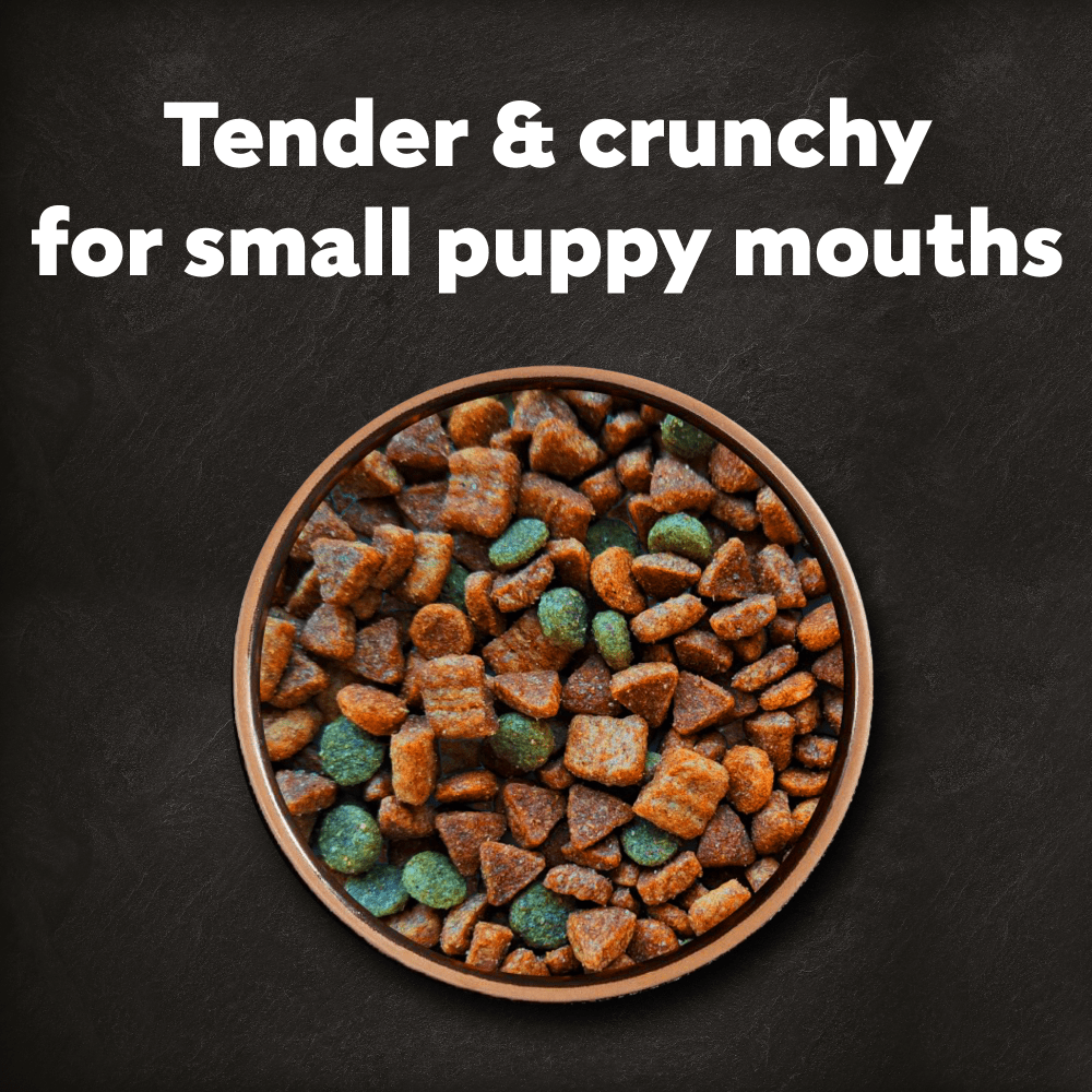 Cesar Dog Complete Dry Puppy with Chicken Rice and Veg 1.4kg