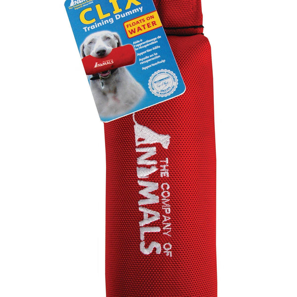 Clix Canvas Training Dummy