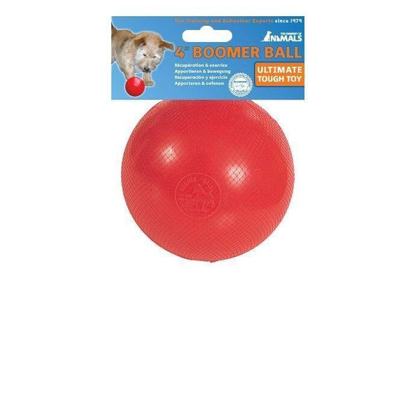 Company of Animals Boomer Ball Dog Toy 10cm