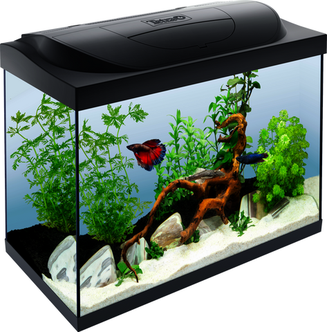 Tetra Starter Line 30L Goldfish Tank with Filter & LED