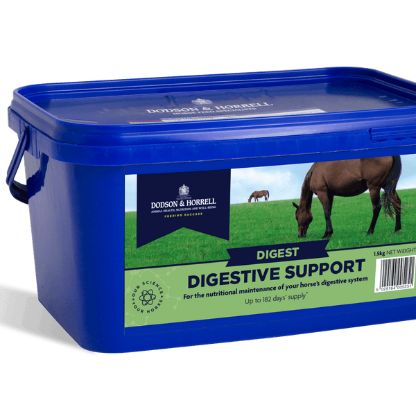 D & H Digestive Support