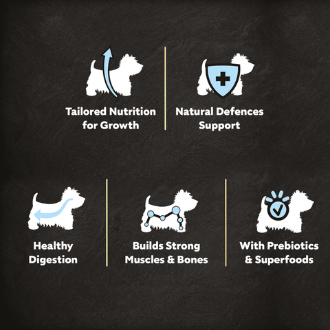 Cesar Dog Complete Dry Puppy with Chicken Rice and Veg 1.4kg