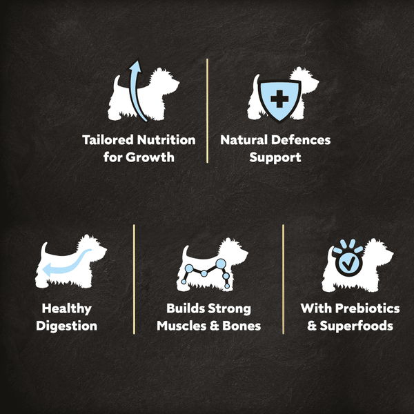 Cesar Dog Complete Dry Puppy with Chicken Rice and Veg 1.4kg