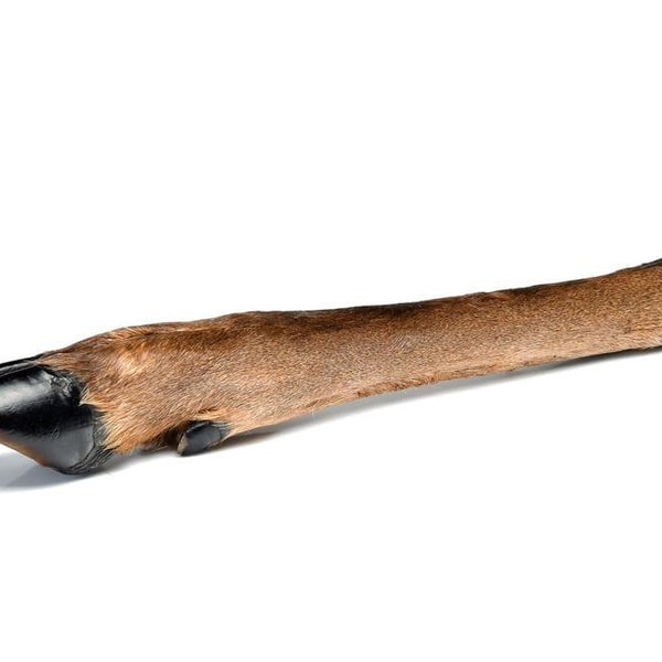 Deer Leg - Hairy / Large