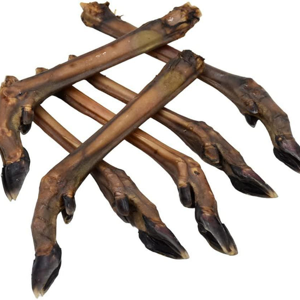Deer Leg - Roe / Small
