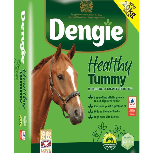 Dengie Healthy Tummy 20kg