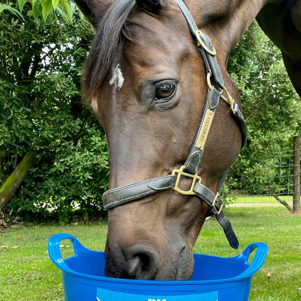 DK Equine Flexi Tub with Menthol