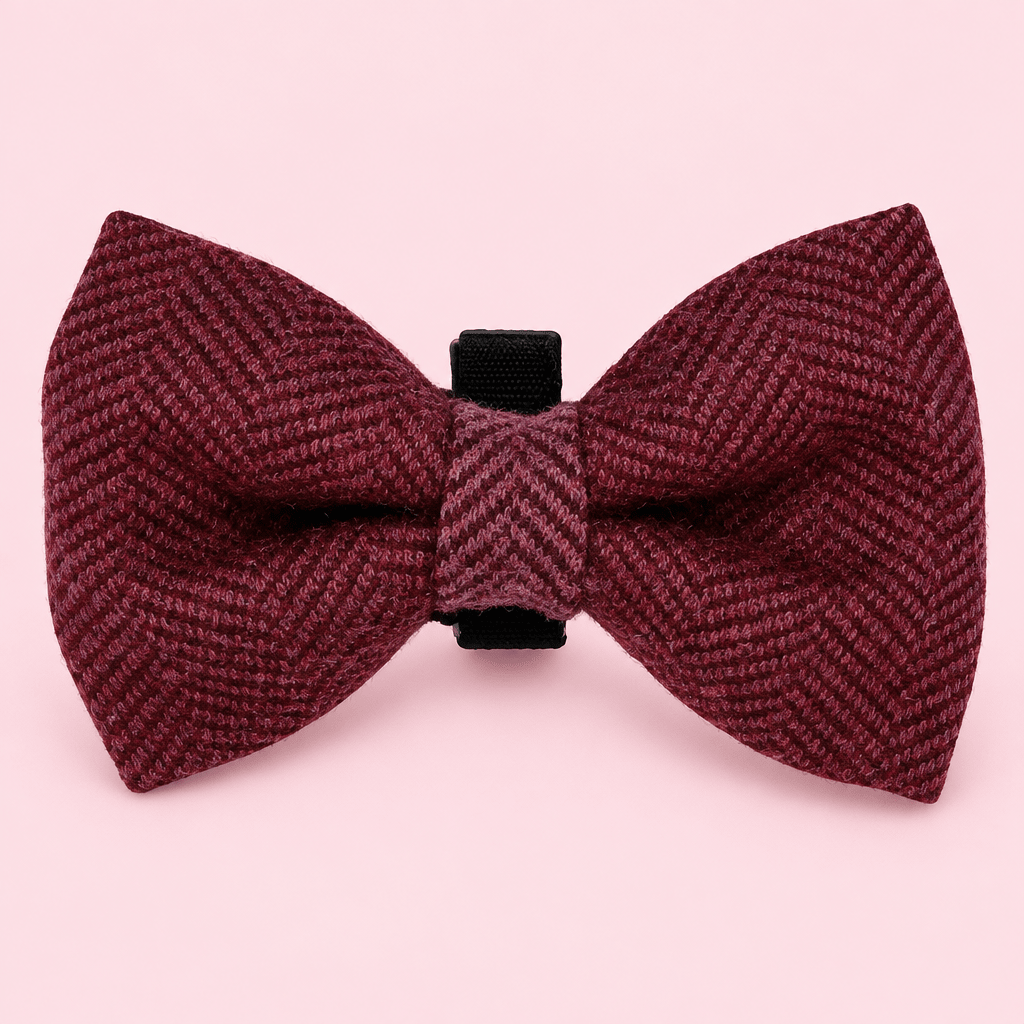 Dog Bow Tie - Berry Tweed