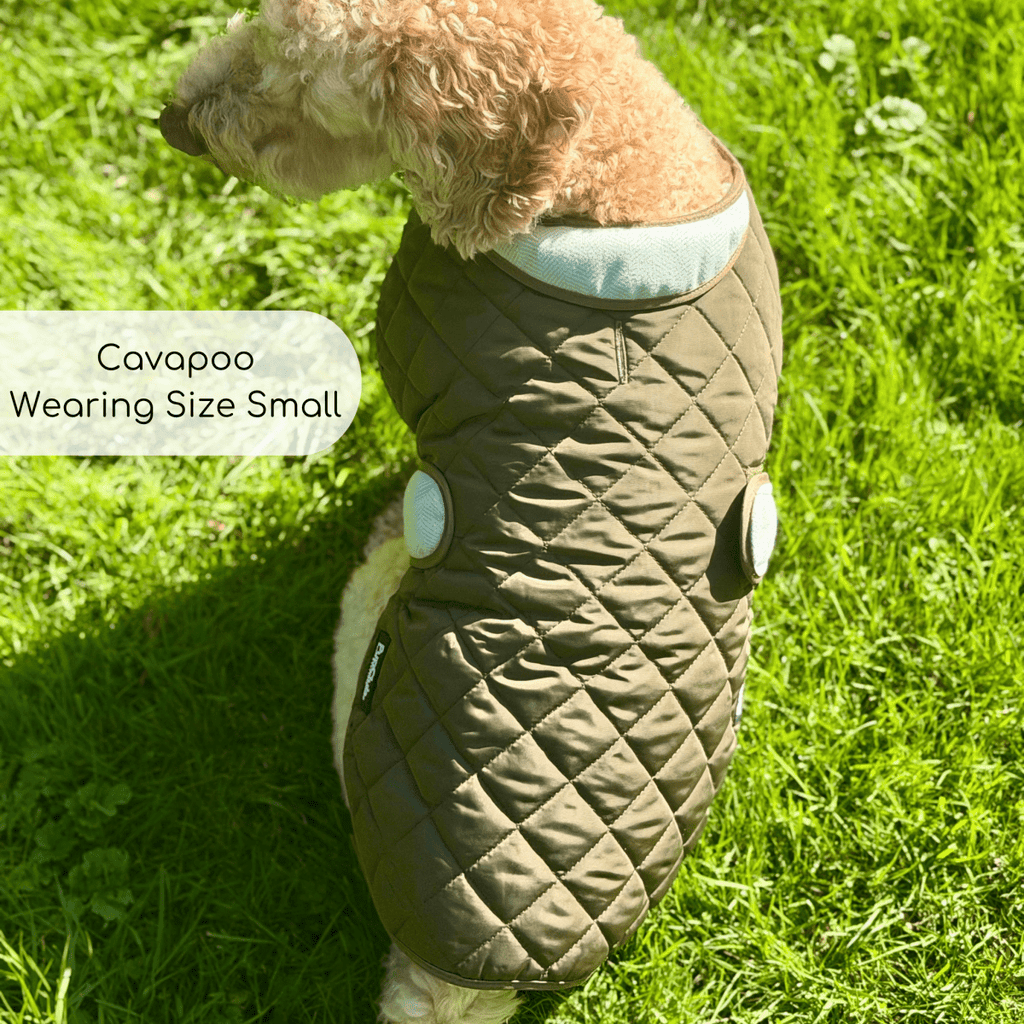 Quilted Dog Coat - Khaki Tweed