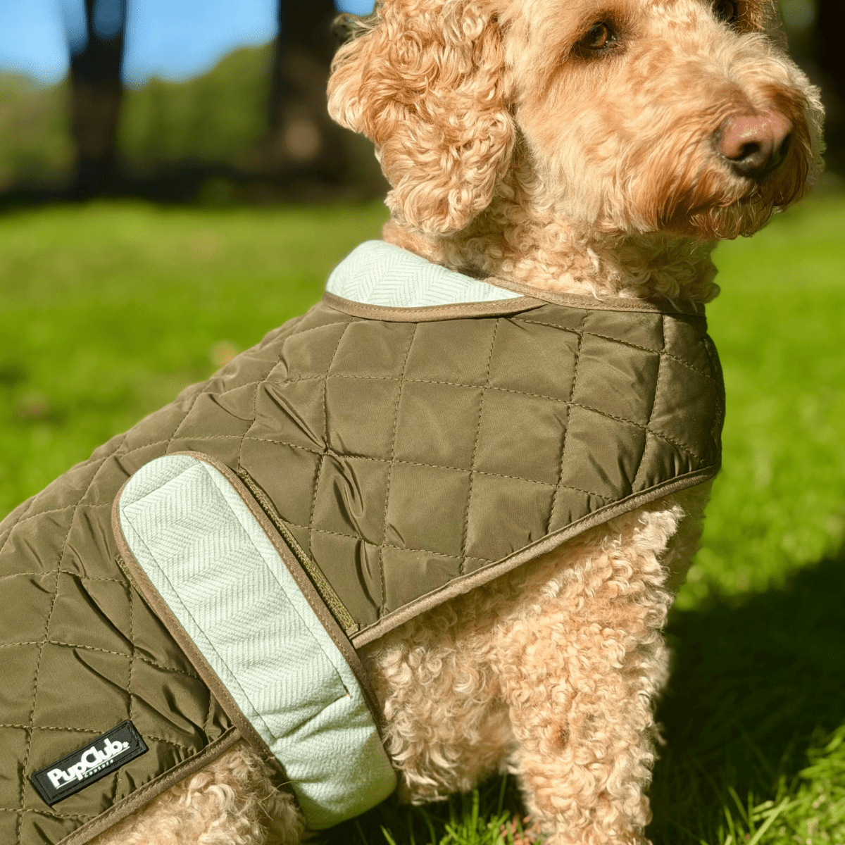 Quilted Dog Coat - Khaki Tweed