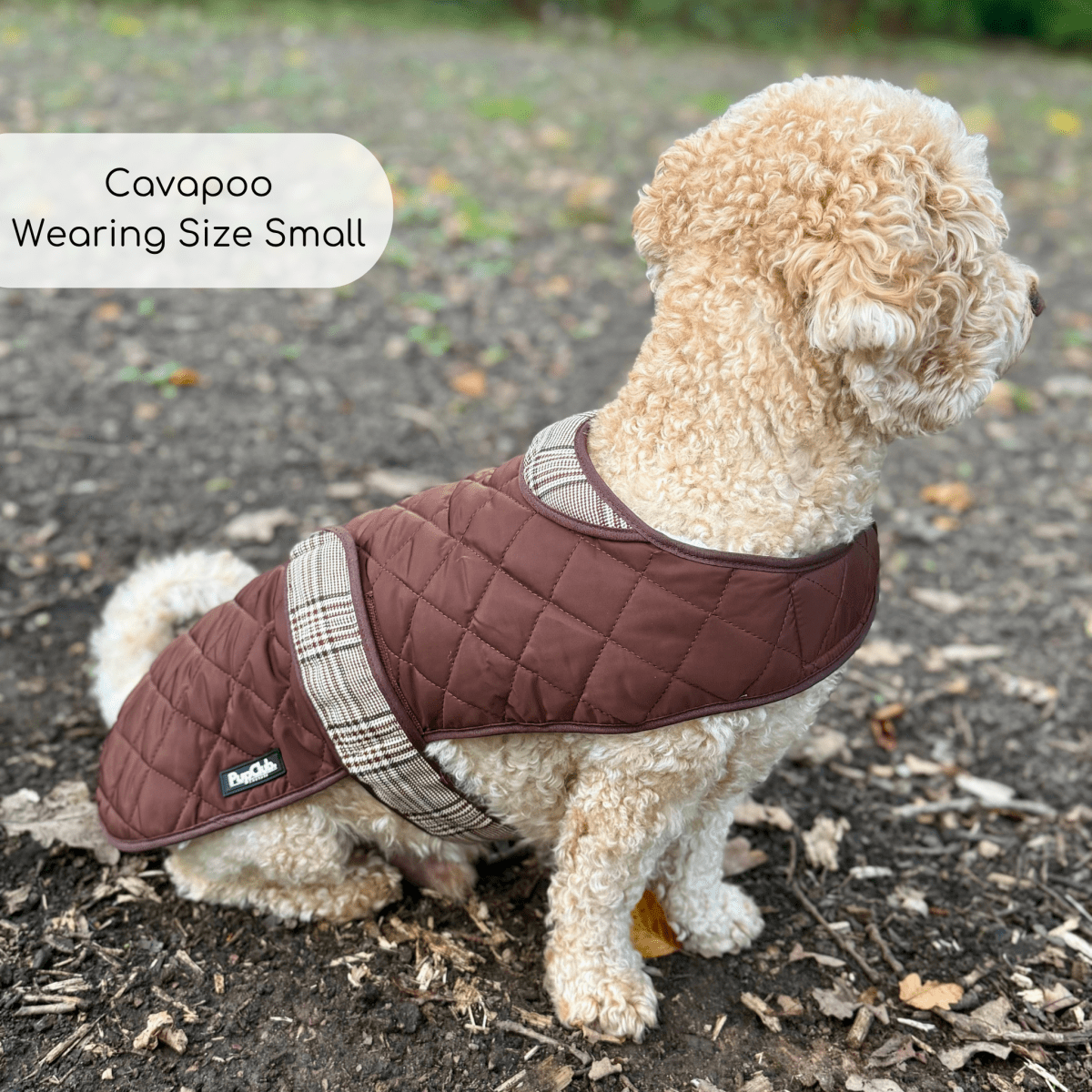 Quilted Dog Coat - Foxbury Plaid