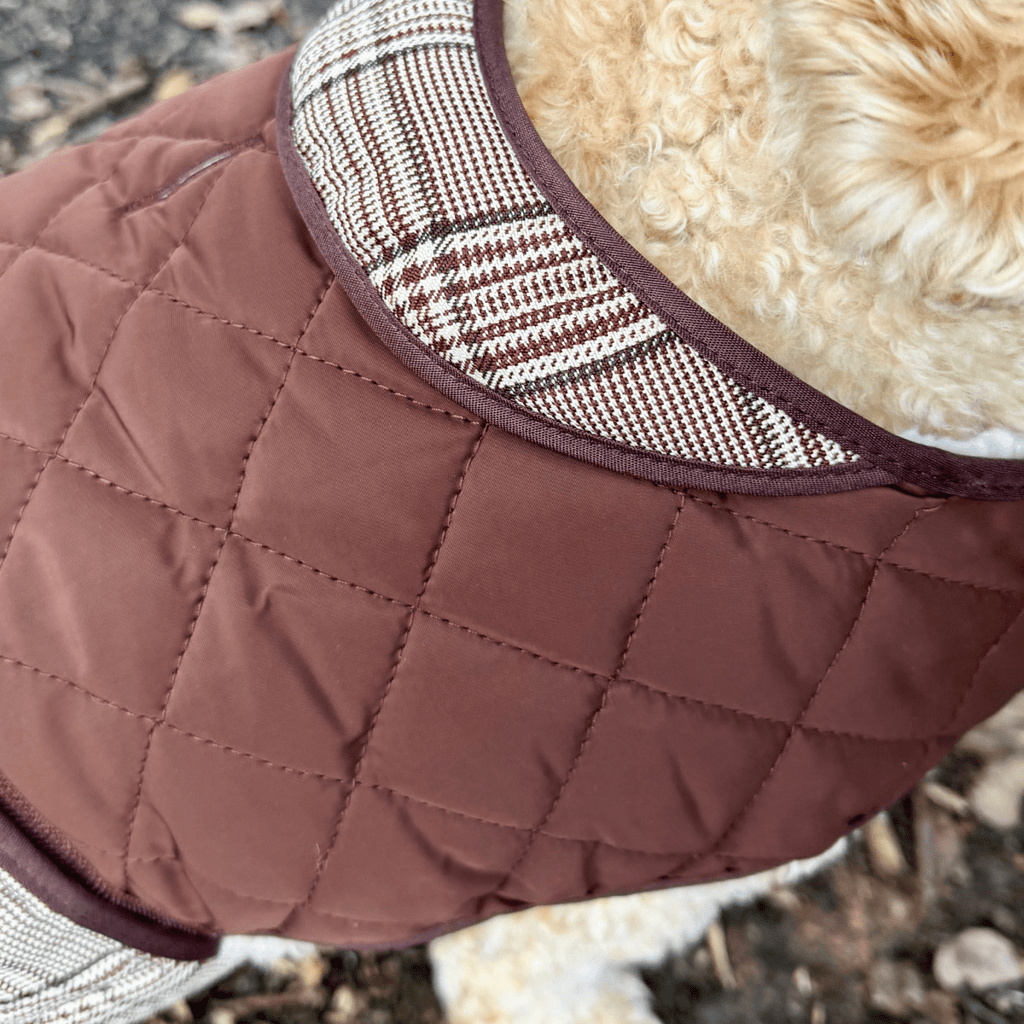 Quilted Dog Coat - Foxbury Plaid
