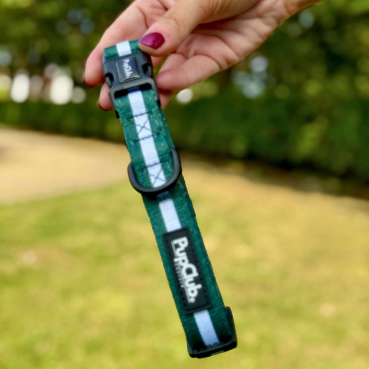 Collar - Forest Green