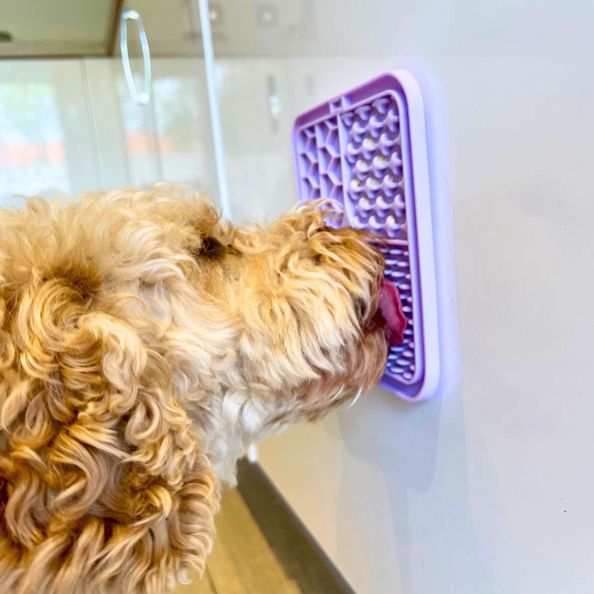 Dog Lick Mat - Lilac