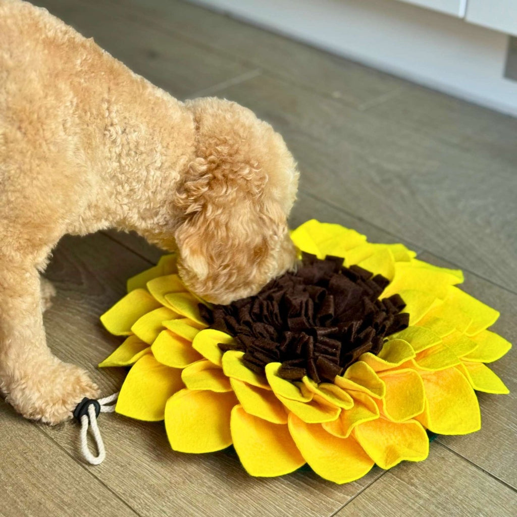 Snuffle Mat - Sunflower