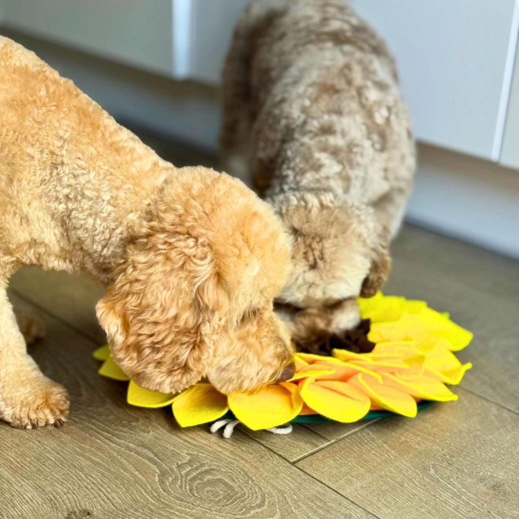 Snuffle Mat - Sunflower