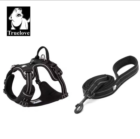 DogShackUK! True Love Harness & Lead