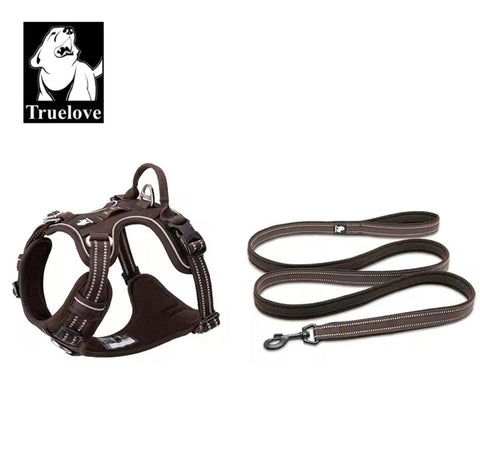 DogShackUK! True Love Harness & Lead