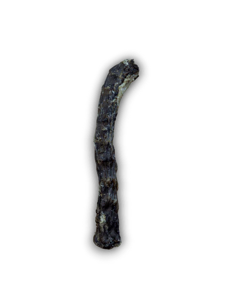 Duck Necks / Large