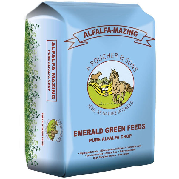 Emerald Green Alfalfa-Mazing