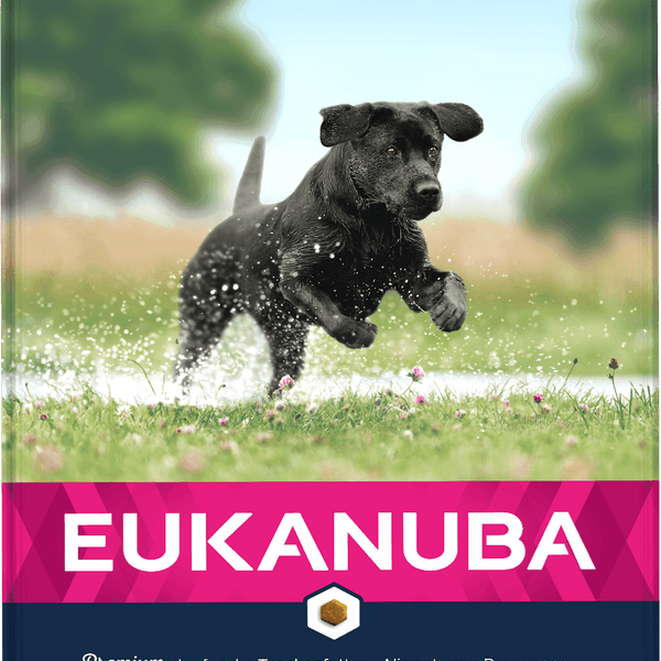 Eukanuba Dog Junior Large Chicken 12kg