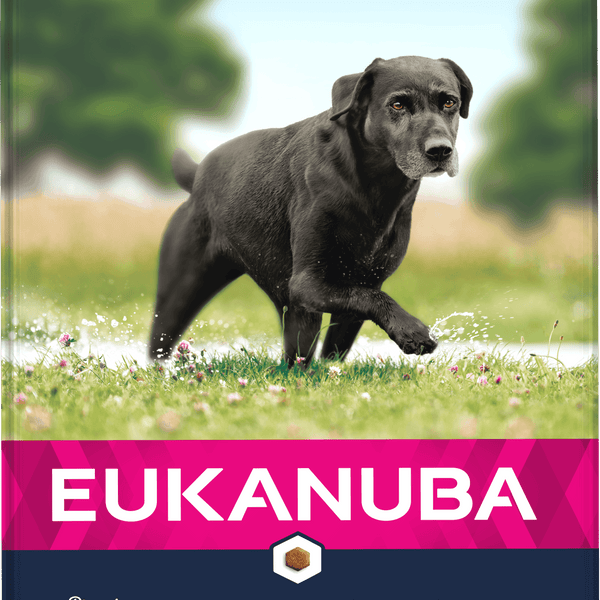 Eukanuba Dog Senior Large Chicken 12kg