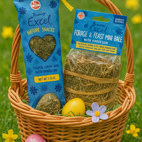 Excel Springtime Cornflower Bundle