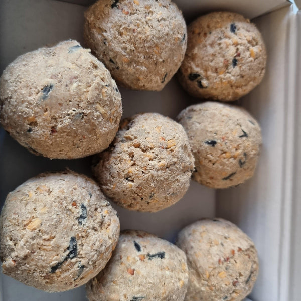 Fat Ball 8 Box