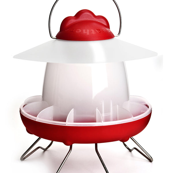 Feathers & Beaky Chicken Feeder