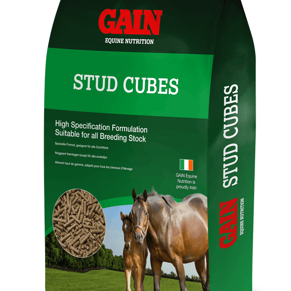Gain Stud Cubes