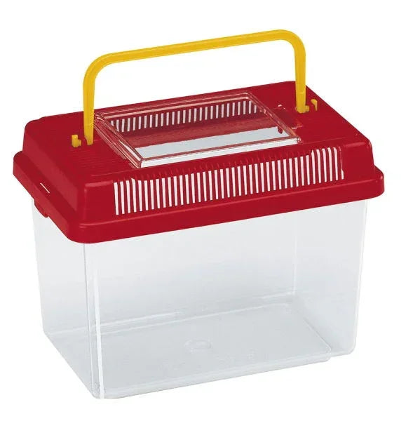 Geo Plastic Tank Medium Mixed Colours 23.2x15.3x16.6cm