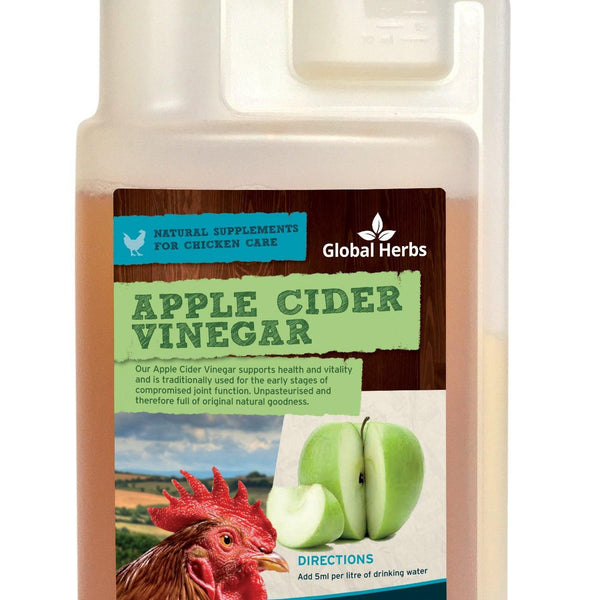 Global H Apple Cider Vinegar(Chicken)